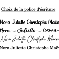 Choix de la police d'écriture