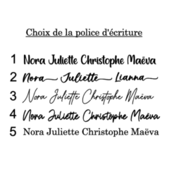 Choix de police d'écritures